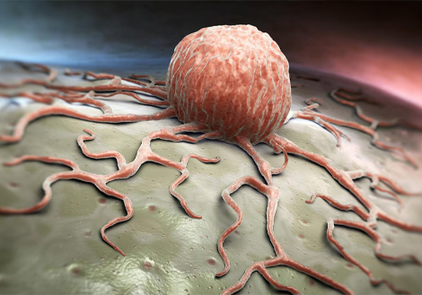 Barber Salon  Bootstrap 4 Template